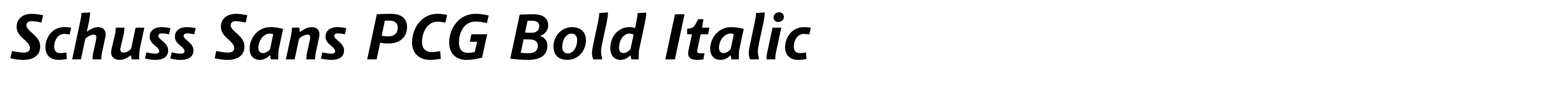 Schuss Sans PCG Bold Italic